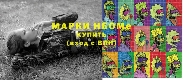 шишки Верхний Тагил